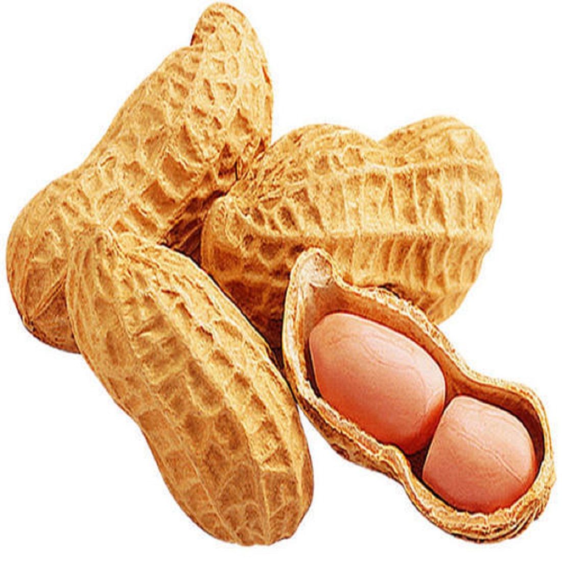 pab_304112413_peanut_shell_500x500.jpg